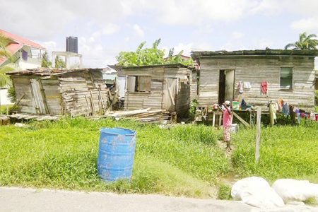Three shacks on the edge of Swan Street, the front of the Squatting Area. The middle dwelling is the residence of Sherene Hamilton and the one on the right is the home of Stephanie Rollins.
