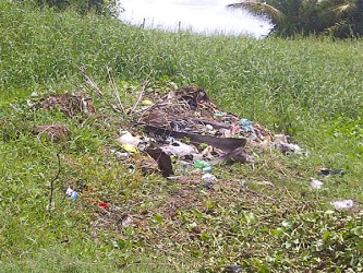 A dump in Swan Street 