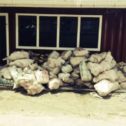 The 1.2 tons of high-grade cannabis seized yesterday 