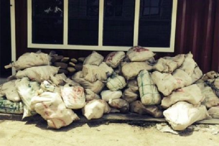 The 1.2 tons of high-grade cannabis seized yesterday
