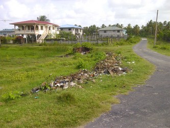 A roadside dump in Victoria