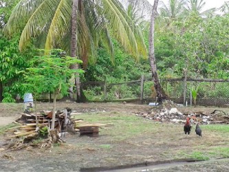 The rear fence by which the bandits gained entry 