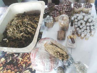 The shotgun cartridges and marijuana found at a camp at Sheet Anchor, East Canje yesterday. 