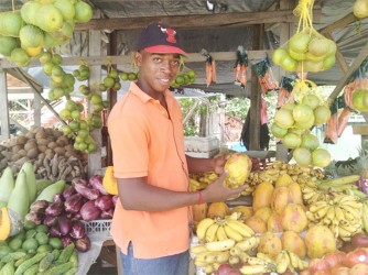 Richard Hinds, son of Carlotta Hinds, at the stall where he and his mother sell fruit