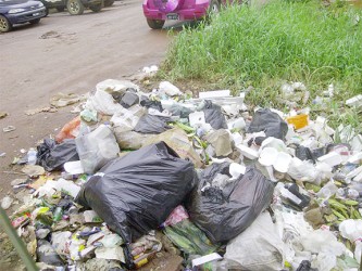 A dumpsite in the Kumaka Market Square 