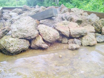 The bricks collected to fill the potholes at the back of an NDC trailer