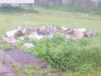 A dumpsite at a Kumaka residence