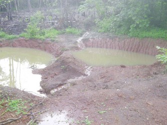 Holes dug in Barabina to fill potholes on the main roads brimming with stagnant water that residents say breeds mosquitoes. 