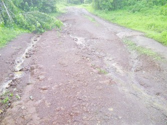Barabina access road 