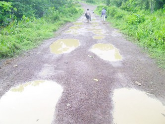 Farther along the Barabina access road 