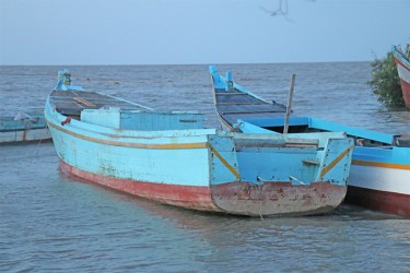 The boat at Airy Hall