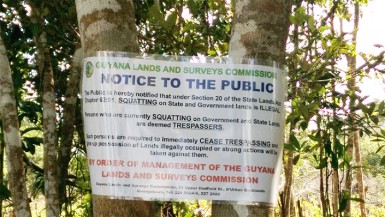 GLSC has told the squatters that they are illegally occupying state lands and must remove themselves (Photo by Chevy Devonish) 