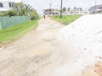 This road appears to have been patched with sand and loam in an attempt to fill the potholes.