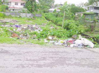An empty lot and roadside garbage site