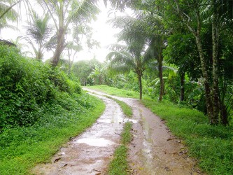 The walkway into the village