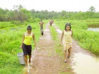 A group of  youngsters heading home