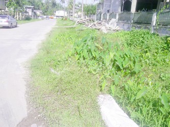 Drain and parapet covered in vegetation on Crabwood Street, Central Mackenzie 