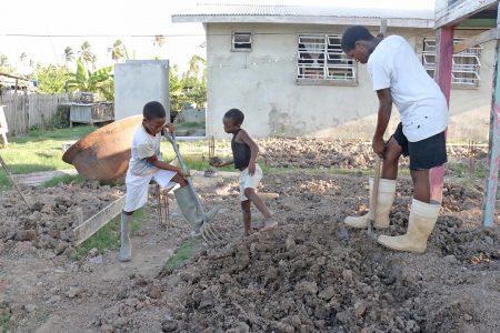 These industrious boys at Victoria, East Coast Demerara are using their holidays to help plough the land in their backyard for a kitchen garden.