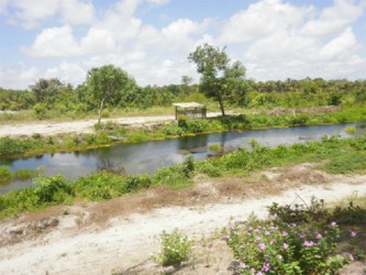  Lima Sands main canal