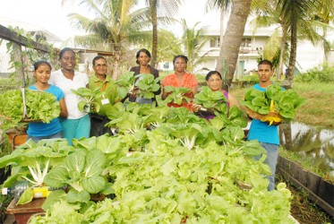 Container gardening at the David Rose School