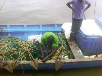 An Officer from the Ministry of Agriculture Fisheries Division cuts away the rope from the anchor seines prior to discarding them into the water. (Guyana Defence Force photo)