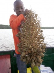 Almost done! My nephew Roulex holds up what is left of a bunch of kokerite