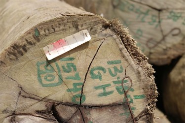 A faded GFC tag on a log at Vaitarna’s log yard at Wineperu on Tuesday.