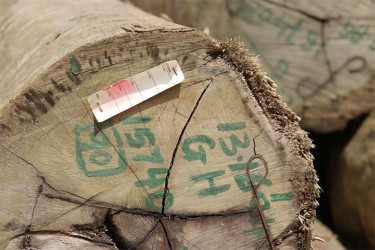 A faded GFC tag on a log at Vaitarna’s log yard at Wineperu on Tuesday.   