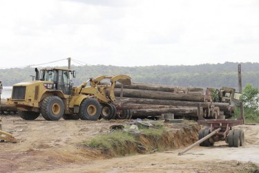 One of Vaitarna’s trucks hauling logs at Wineperi