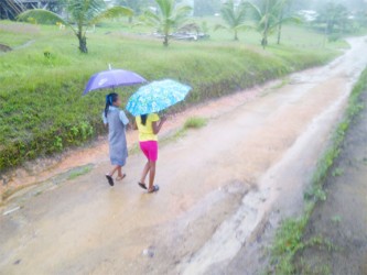 Walking in the rain