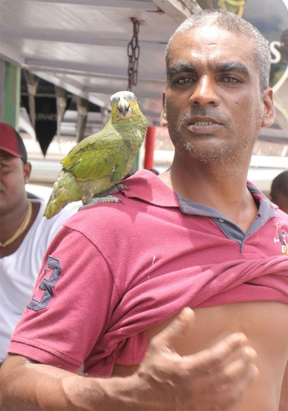 My pet: A man and his pet parrot at Parika. 