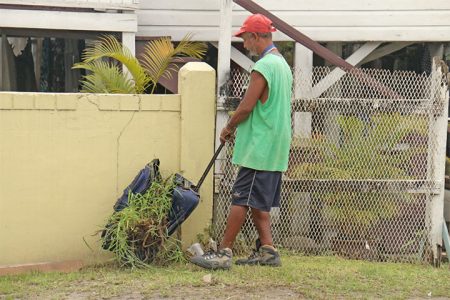 This man was snapped by Stabroek News photographer Arian Browne pulling a suitcase packed with grass along the grass verge of the Public Road in Golden Grove, EBD.