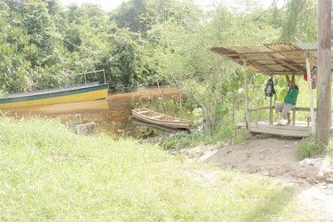 The farmers' stelling on the Demerara River at Pearl