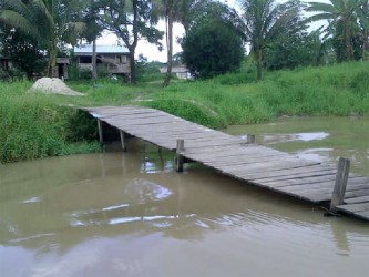 The polluted water in the Kaituma Canal.   