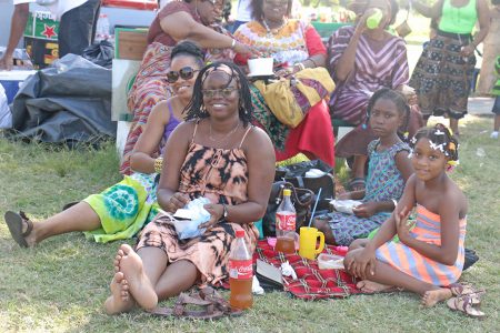 A freedom day picnic in the National Park