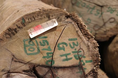 A faded GFC tag on a log at Vaitarna’s log yard at Wineperu on Tuesday.  The India-based company continues to export logs but is yet to set up its promised processing plant. (Arian Browne photo)