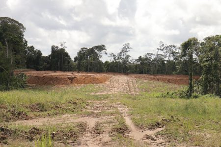 The site for Vaitarna’s proposed wood-processing facility at Wineperu on Tuesday.  There is nothing on it. The India-based company continues to export logs but is yet to set up its promised processing plant. (Arian Browne photo)