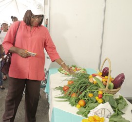 PAHO Director Dr Carissa Etienne surveys vegetables on display at the Health Fair