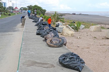 Scores of bags filled with garbage lined the seawall at Kingston yesterday following the International Coastal Clean-up in which over 200 members of the public participated. (Photo by Arian Browne)