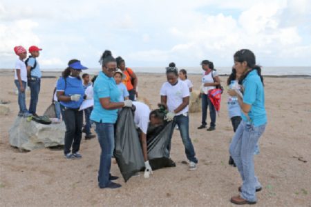 Representatives of ECHO turned up in their numbers to help clean up the Kingston seawall for the International Coastal Cleanup day on Saturday. (Photo by Arian Browne) 