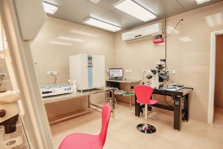The IVF lab at Dr Balwant Singh Hospital Inc