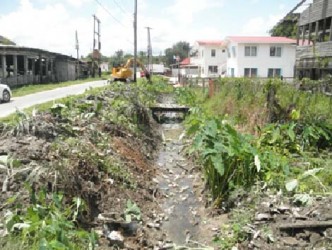 Work in progress during a clean-up exercise in Bartica 