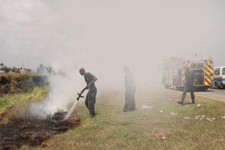 Firefighters extinguishing a grass fire which caused almost zero visibility along the Rupert Craig Highway at Pattensen, ECD yesterday. (Photo by Arian Browne) 
