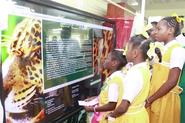 Some Students of St Gabriel’s taking an up close look at one of the interactive monitors at the launch yesterday.  