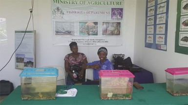 Desha Husbands and Shirlena Oudith showcase the Tambaqui and Jamaican Red Tilapia varieties of fish that are currently being farmed in Guyana. Preservation of fish species and sustainable fishing are ongoing initiatives across the Caribbean region.  