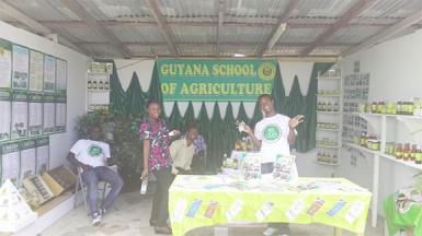 Corwyn Bruce, Amy Price, Clennell Petty, Akeem Williams, Kelisa Mullin and Tevin Smith proudly representing the Guyana School of Agriculture, were ready to educate visitors on the product range developed by students and the various developmental projects the school is currently engaged in. At the back of the booth small pots growing a variety of green leafy vegetables under different controlled environments can be seen. 