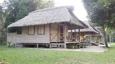 The well-built cabins at the Rewa Eco-Lodge. 