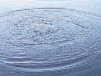 Rolling in the deep: The ripples left by a rolling Arapaima