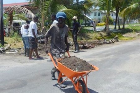 Busy workers at Postel/Stevedore Housing Scheme in September. (Stabroek News file photo)
