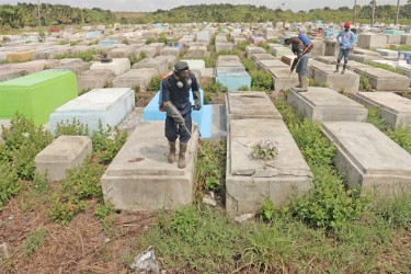 Workers spraying chemicals to kill the weeds between tombs on the Eastern half of the Le Repentir Cemetery on Cemetery Road on Tuesday.